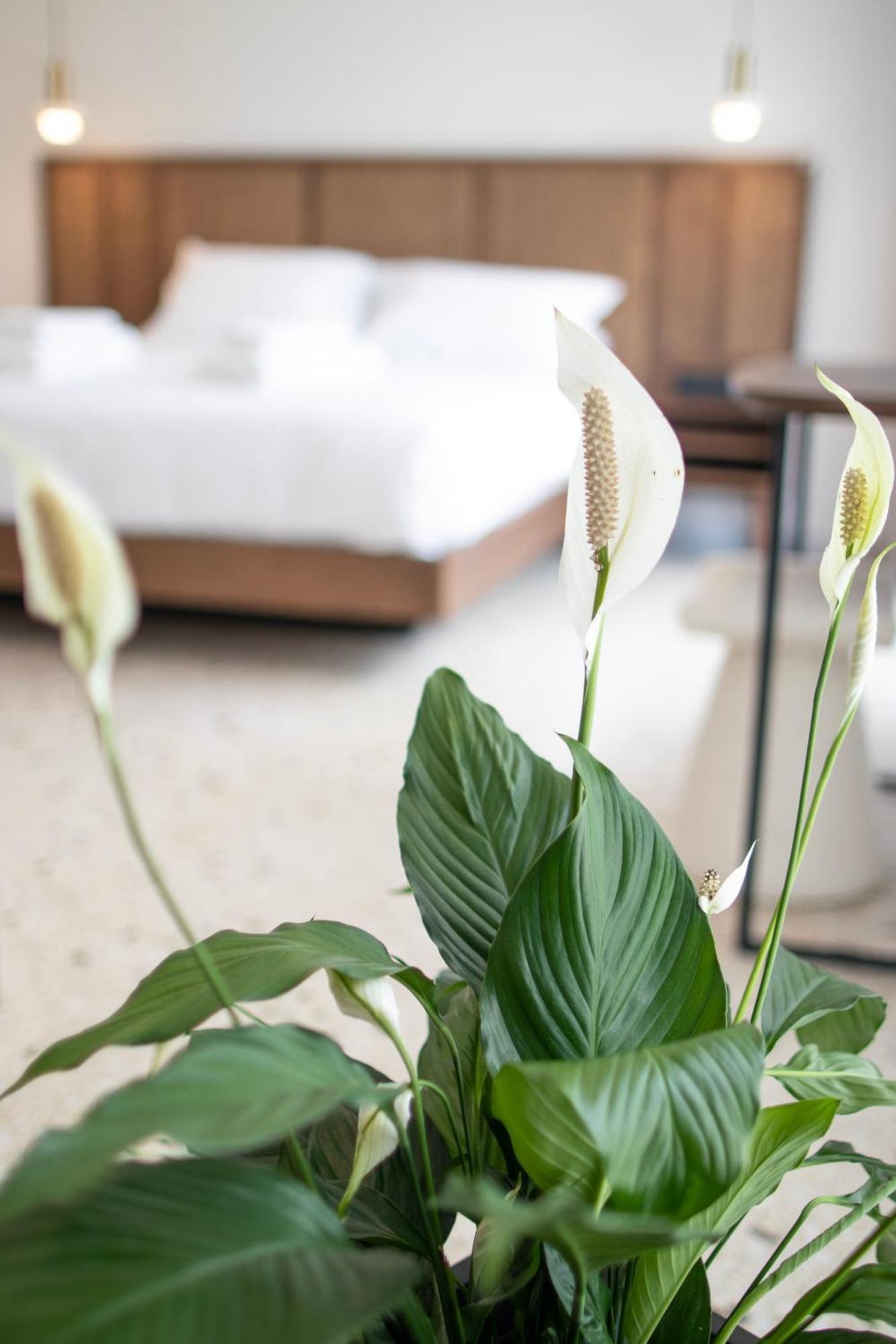 Mythodea Athens Suites Esterno foto